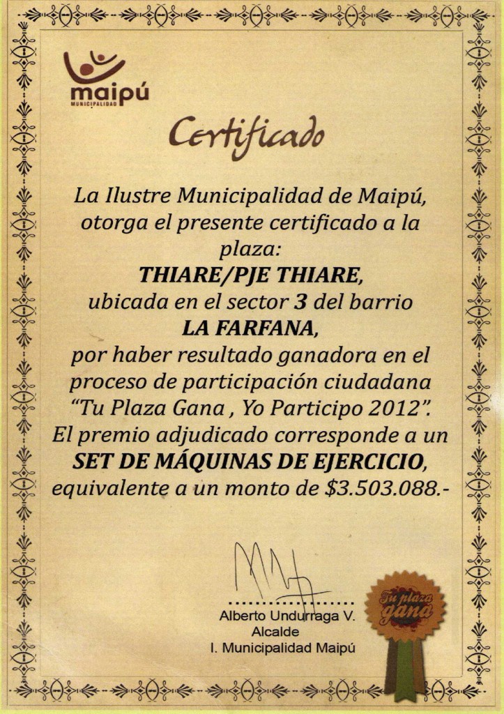 Certificado plaza ganadora - Tu plaza gana - Yo participo 2012